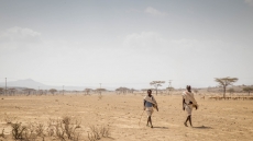 Horn of Africa drought puts 15 million in severe danger
